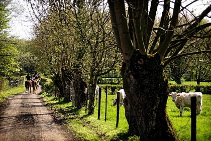 Sentier des druides