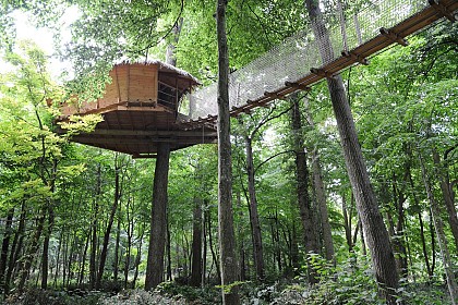 CABANES DANS LES ARBRES DOMAINE DE SAINT JEAN