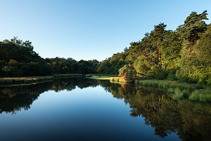 Etang de Paimpont