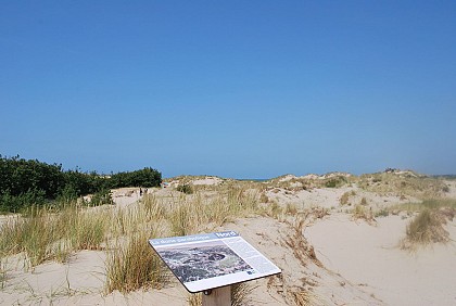 La Dune du Perroquet