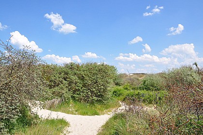 Réserve Naturelle de la Dune Marchand