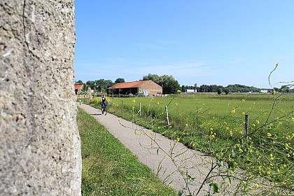 La Dune Fossile