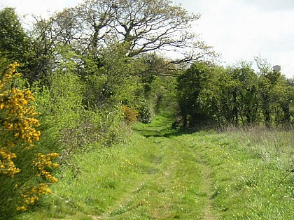 Entrée dans un paysage de bocage