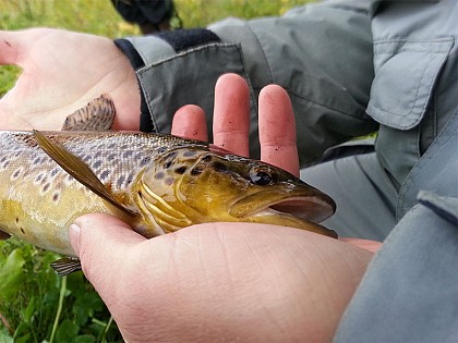 Parcours No Kill sur La Creuse (copie)
