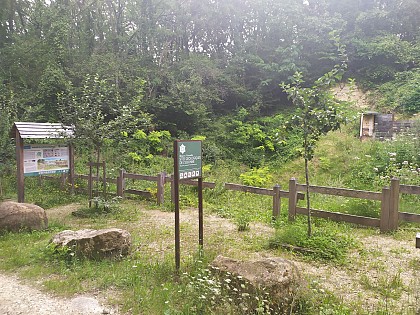 Site géologique d'Orgemont