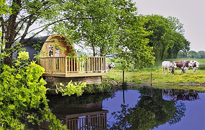 La ferme du Bois Neuf - Cabane POD