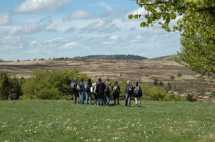 Rando Forez - guide de moyenne montagne