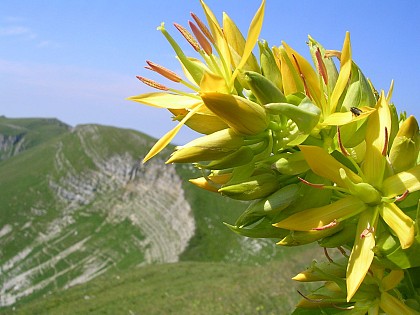 Réserve Naturelle Nationale de la Haute Chaîne du Jura