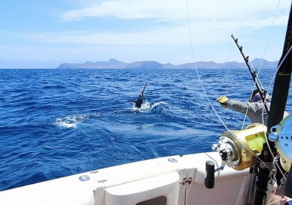 Fishing off the coast of Guadeloupe