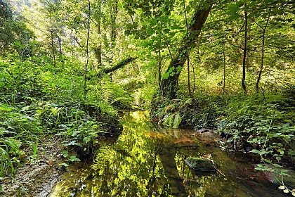 La Vallée des Peintres