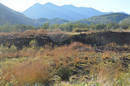 Sentier de la tourbière de Pédestarrès