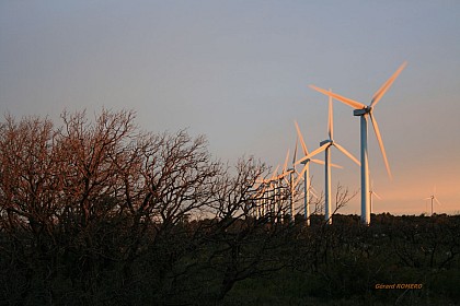 Les éoliennes