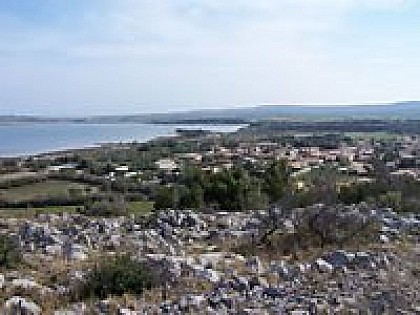 La garrigue