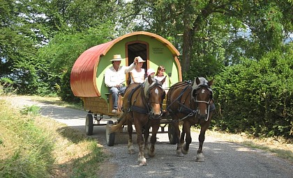 Vacances en roulotte itinérante avec chevaux et meneur