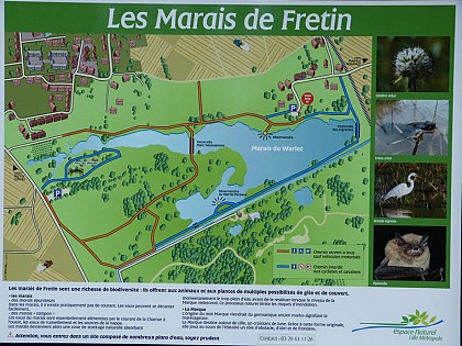 Le marais de Fretin ou marais du Warlet