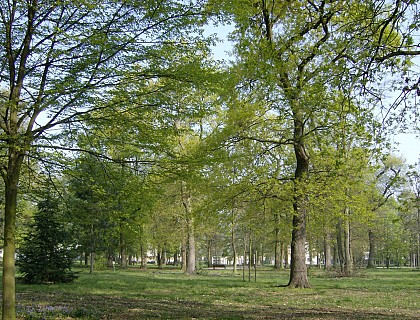 Parc des Chartreux et Jardin des Oiseaux