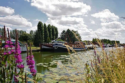 L'Escaut et le Canal de Saint-Quentin