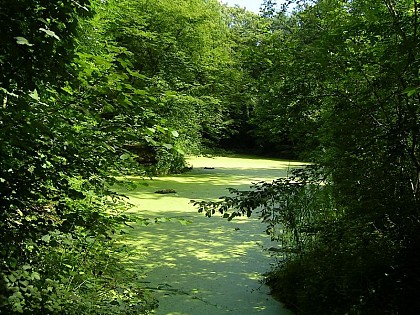 Parc Forestier de la Poudrerie