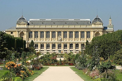 Jardin des plantes, nature et grandeur