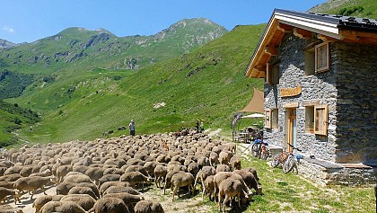 Refuge Plan Lombardie - Cheval Noir
