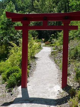 Japanese garden