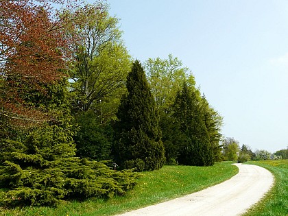 Arboretum de Brienne-le-Château