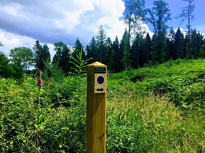 Mont de Beaussault (activités de chasse)