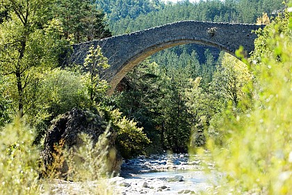 Queen Joan Bridge