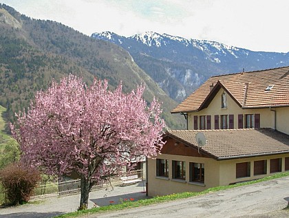 Gîte les Hermones