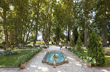 ALLÉE DE 15 PLATANES OFFERT PAR HENRI IV