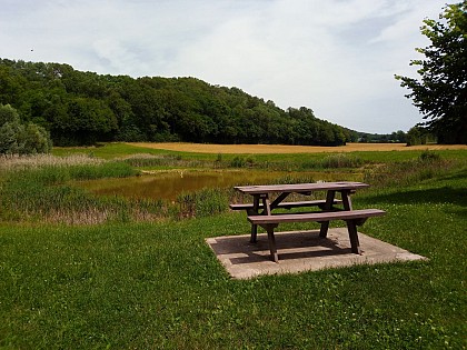 Etang de la Combe