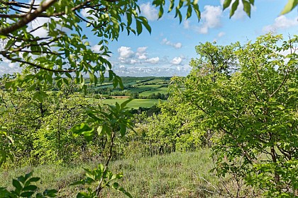 Point de vue la Tour des Fées