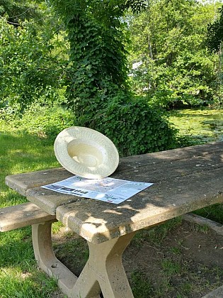 Aire de pique-nique à Saint-Georges-de-Rex