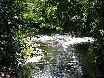 La Seulles