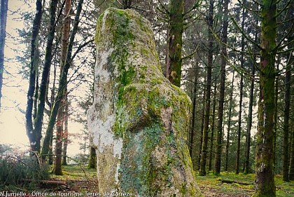 The Menhir of Pilard