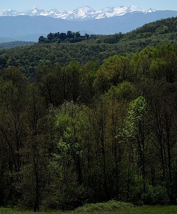 Zone naturelle d'intérêt écologique faunistique et floristique du Bois de la Hage