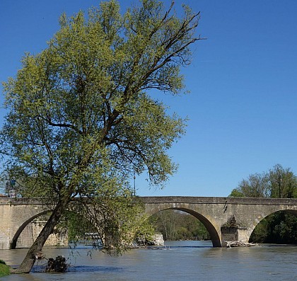 Ponts de Saint-Martory