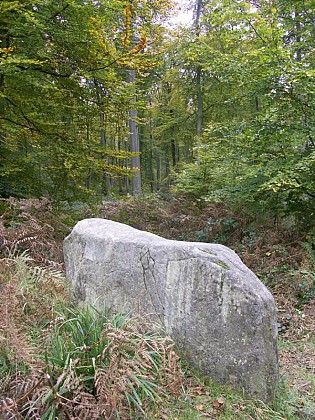 Les pierres levées