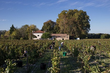 Domaine du Petit-Bourdieu