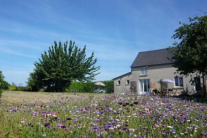 Vue campagne