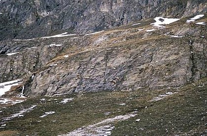 La zone d'hivernage bouquetins et chamois