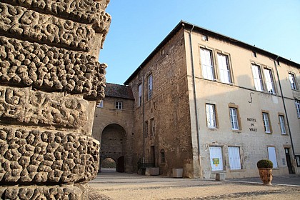 Château  de Roussillon