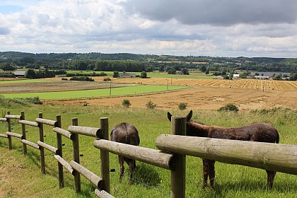 Chambres d'hôtes les Borderies