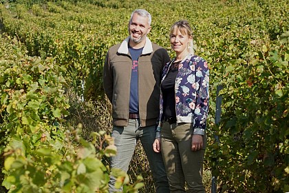 Domaine Lelais dégustation et vente de vin