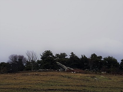 Le dolmen de Doury