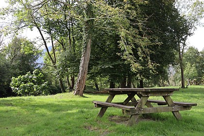 Aire de pique-nique