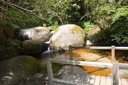 La Mare aux Sangliers