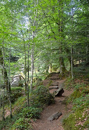 La forêt domaniale du Huelgoat