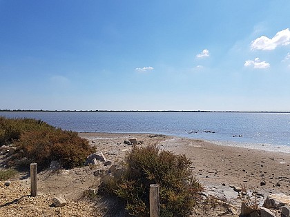 Pond of Vaccarès