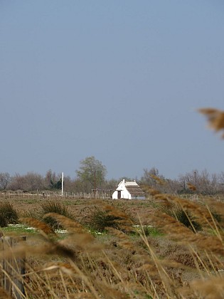 La cabane de gardian